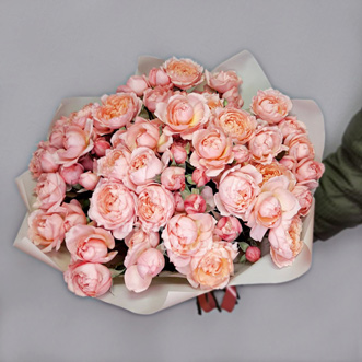 24 пионовидные розы