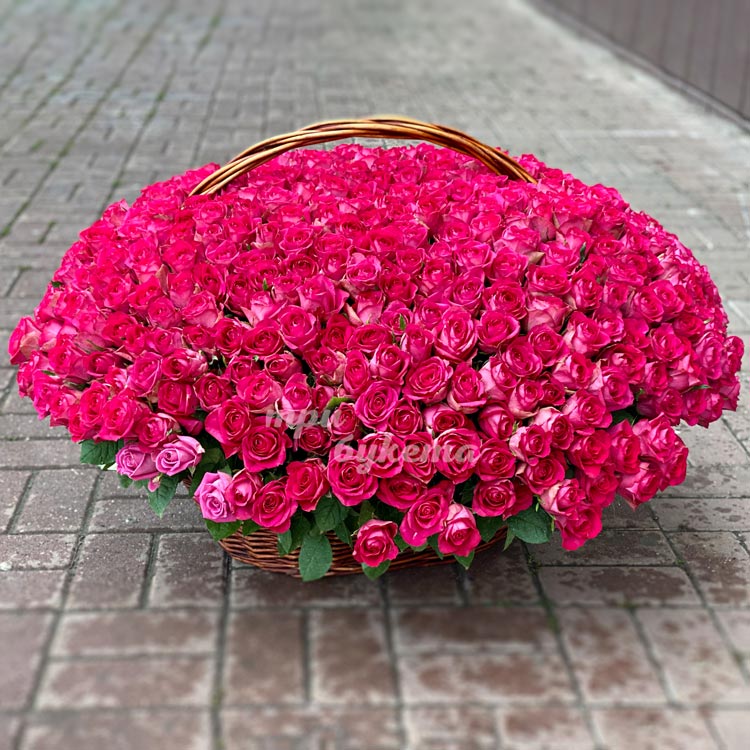 Корзина цветов из 251 розы (на брусчатке)