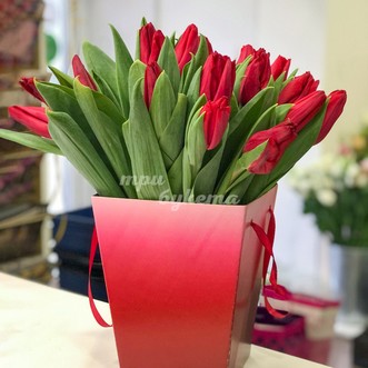 25 тюльпанов в коробке
