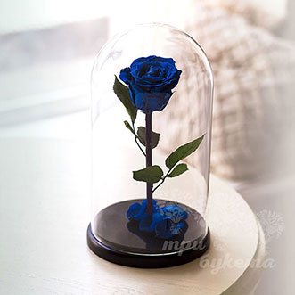 Синяя роза в колбе Premium 26 см