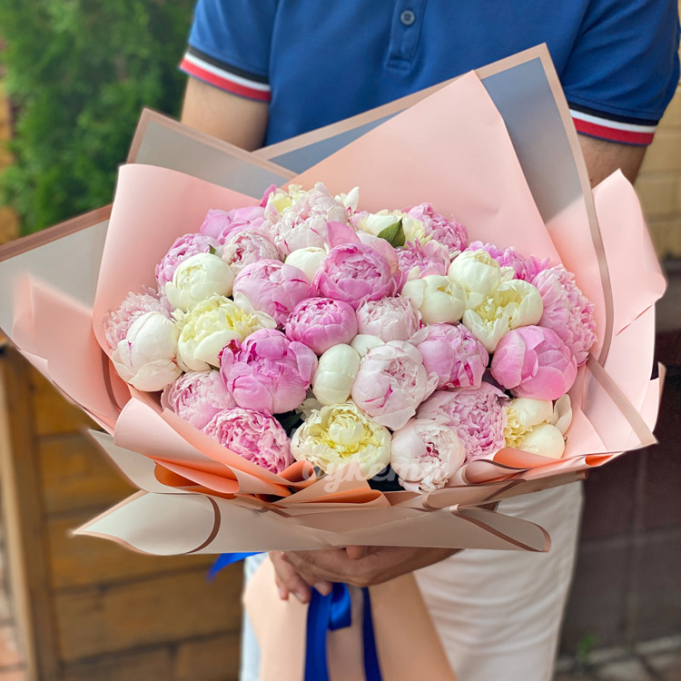39 светло-розовых и белых пионов (в руках)