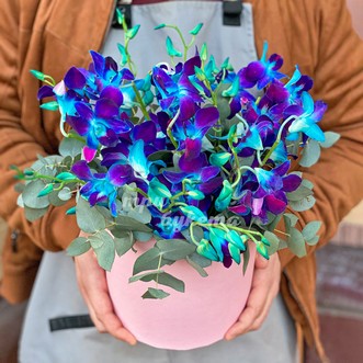 Синий дендробиум в шляпной коробке