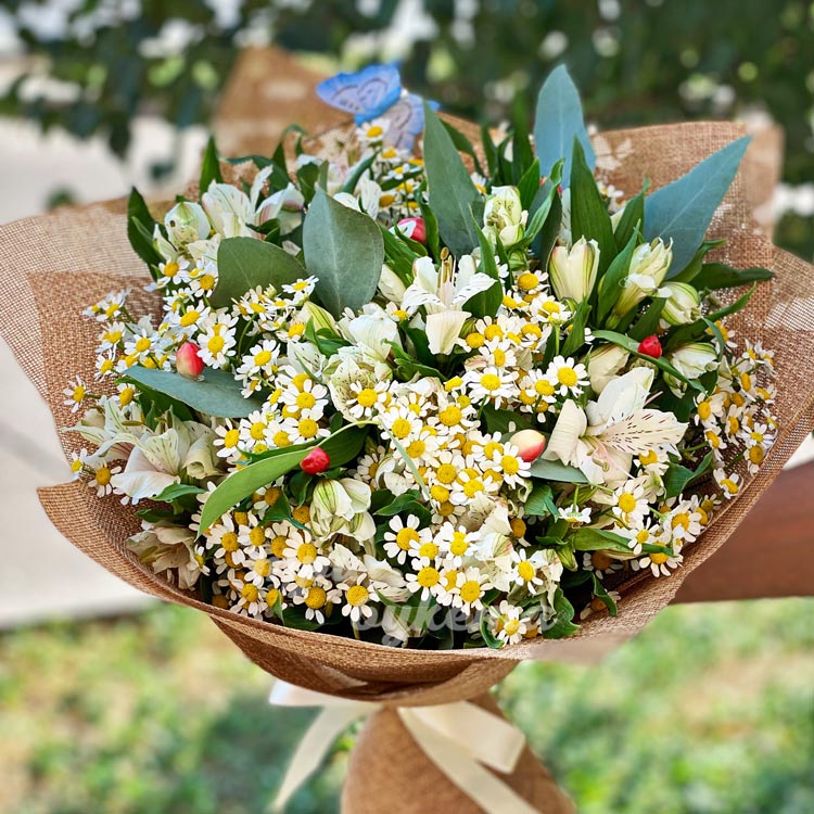 Букет из ромашек и альстромерий (на фоне зелени)