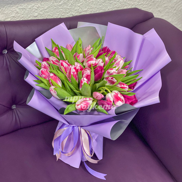 Букет из 35 розово-белых тюльпанов (на диване)