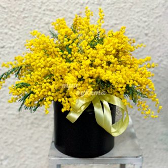 Яркая мимоза в шляпной коробке