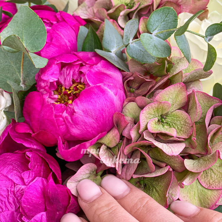 Коробка гортензий, пионов и эвкалипта (крупный план)