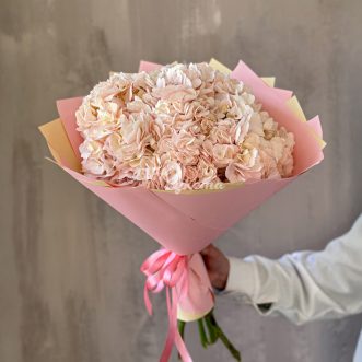 Букет из 7 персиковых гортензий Букет из 7 персиковых гортензий