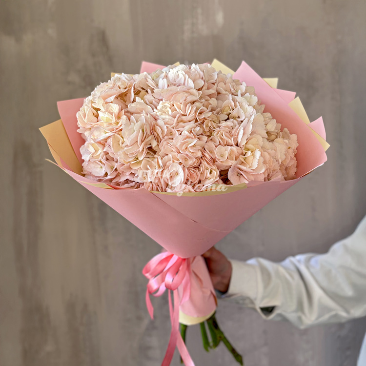 Букет из 3 персиковых гортензий