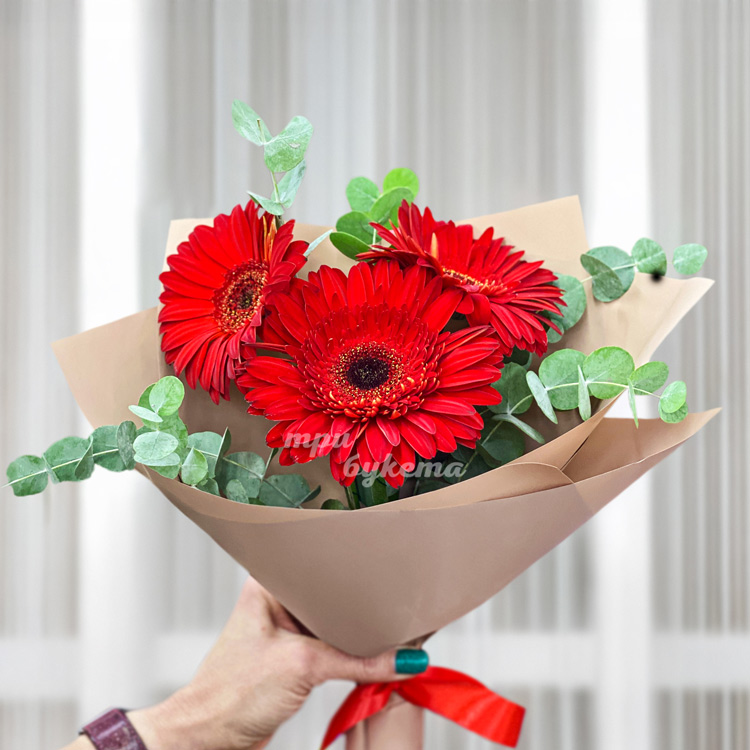 Букет из 3 красных гербер с эвкалиптом (крупный план)